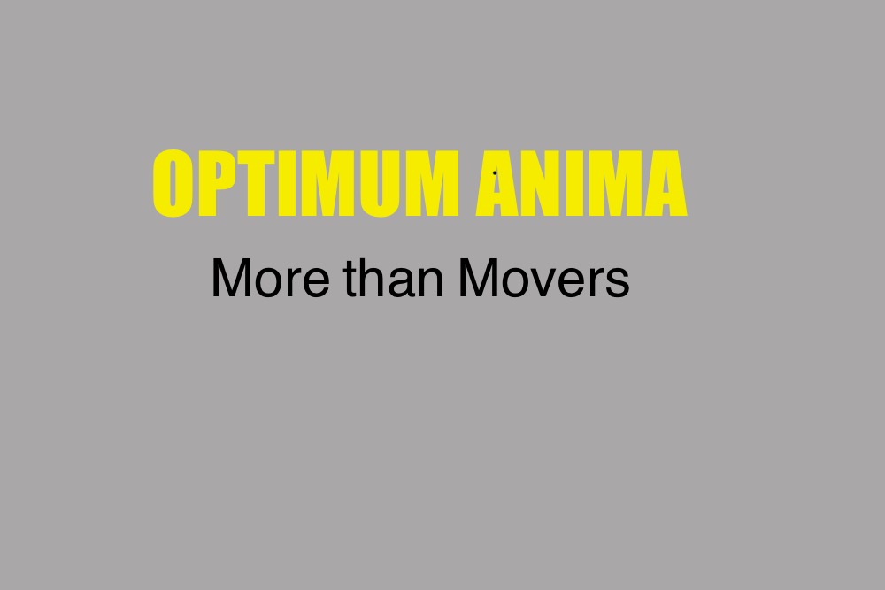 Avatar for Optimum Anima