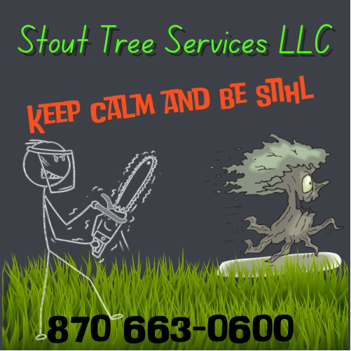 Avatar for Stout Tree Services LLC