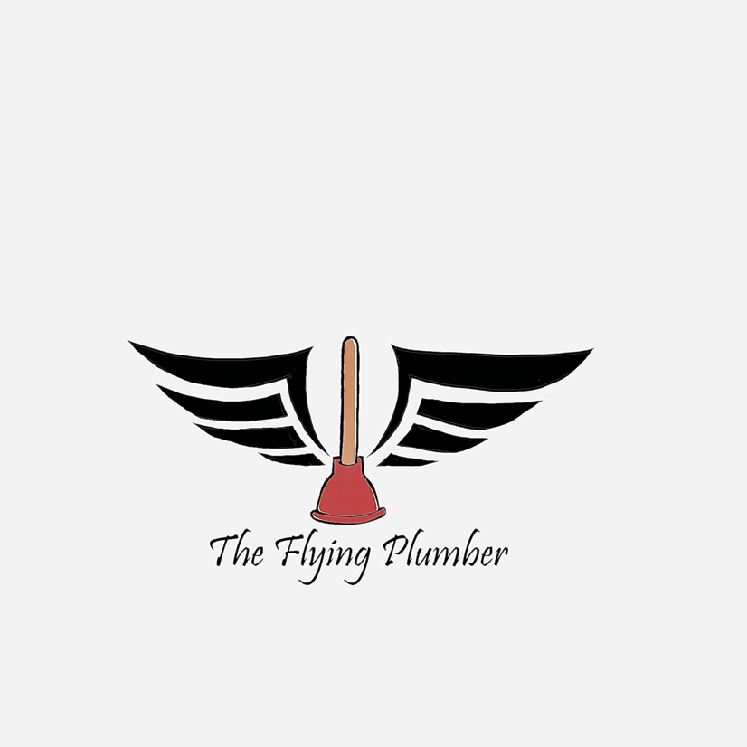 Avatar for The flying plumber 