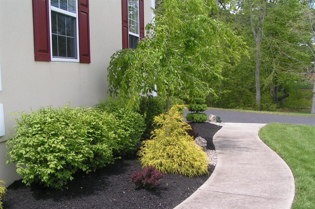 Mulch