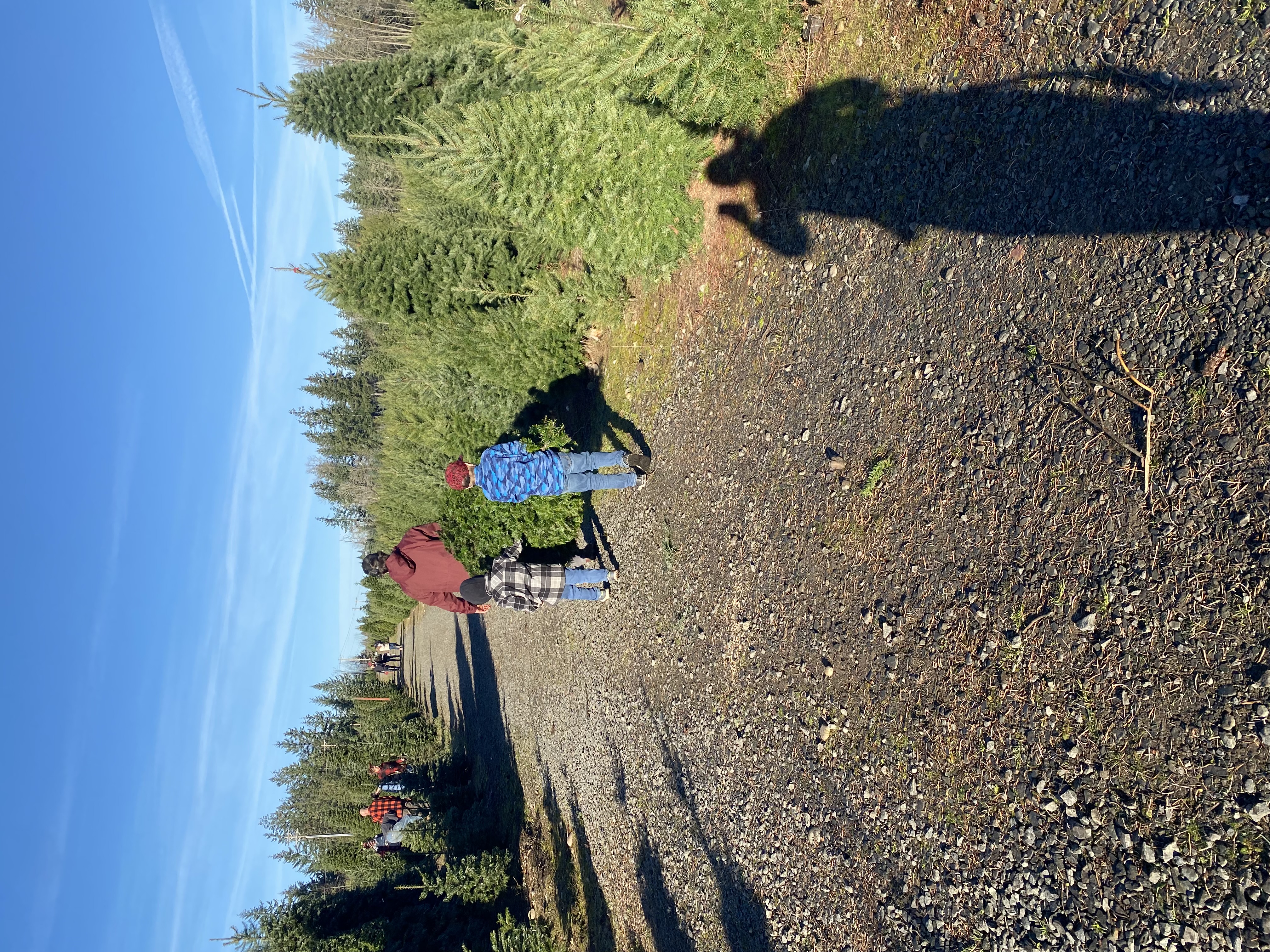 Avatar for Tristdan Anglemyer