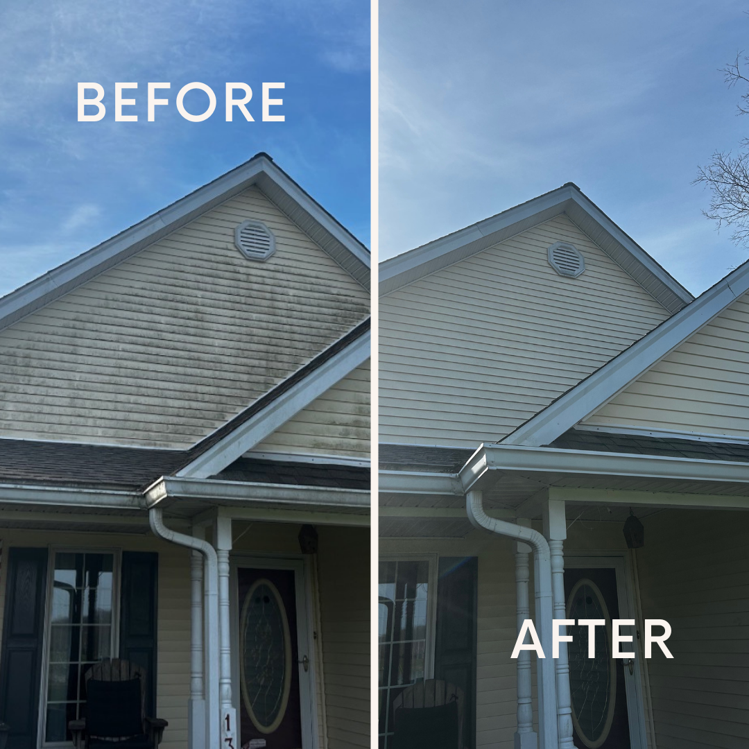 Avatar for Precision Pressure Washing