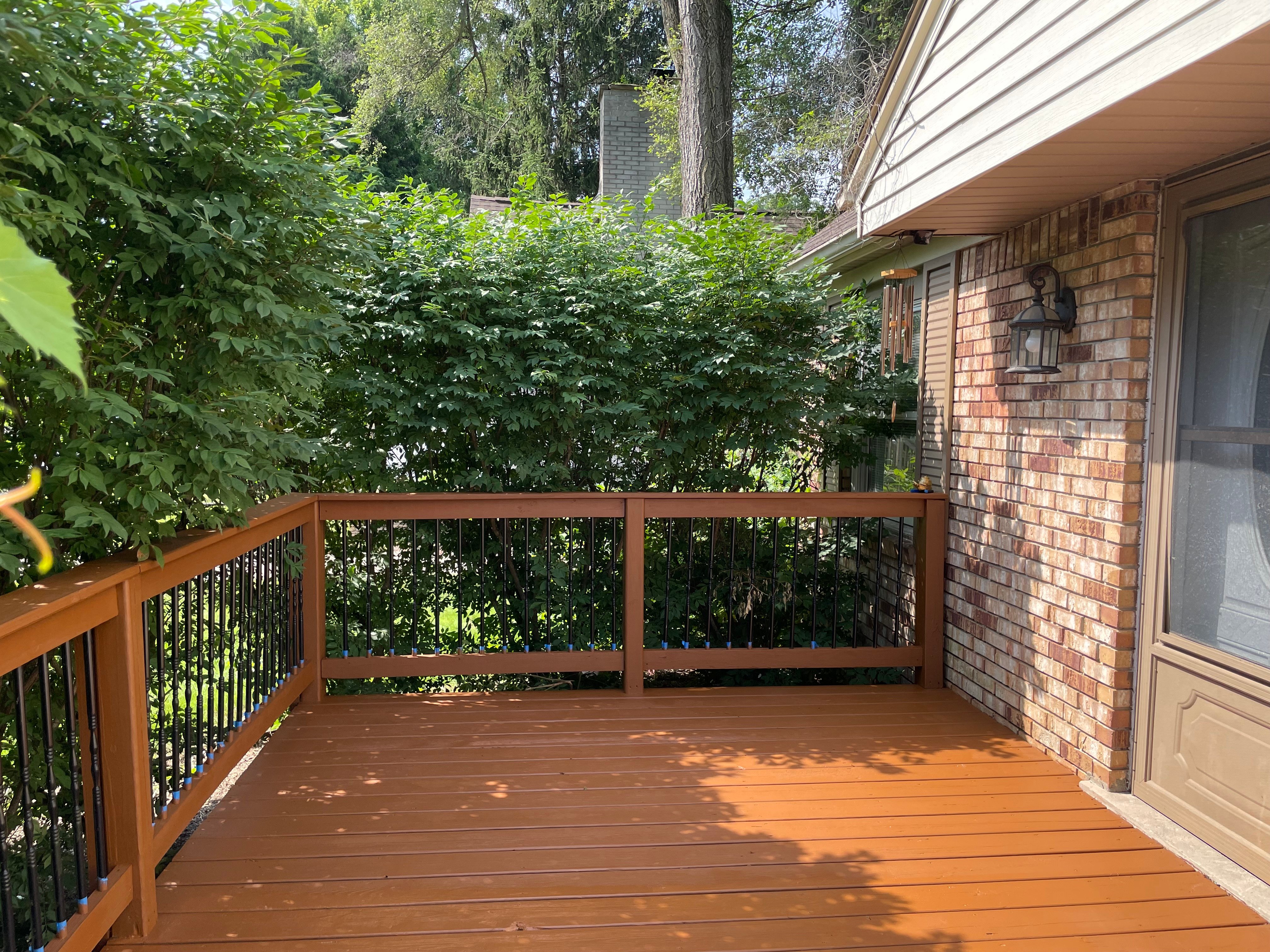 Avatar for ProMo Services LLC