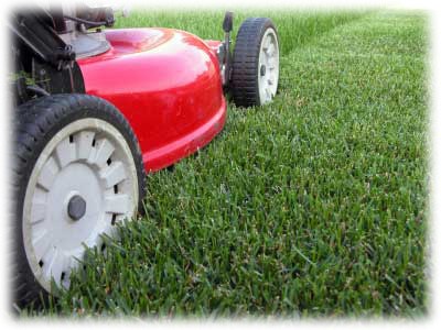 TRADITIONAL GRASS CLIPPINGS logo