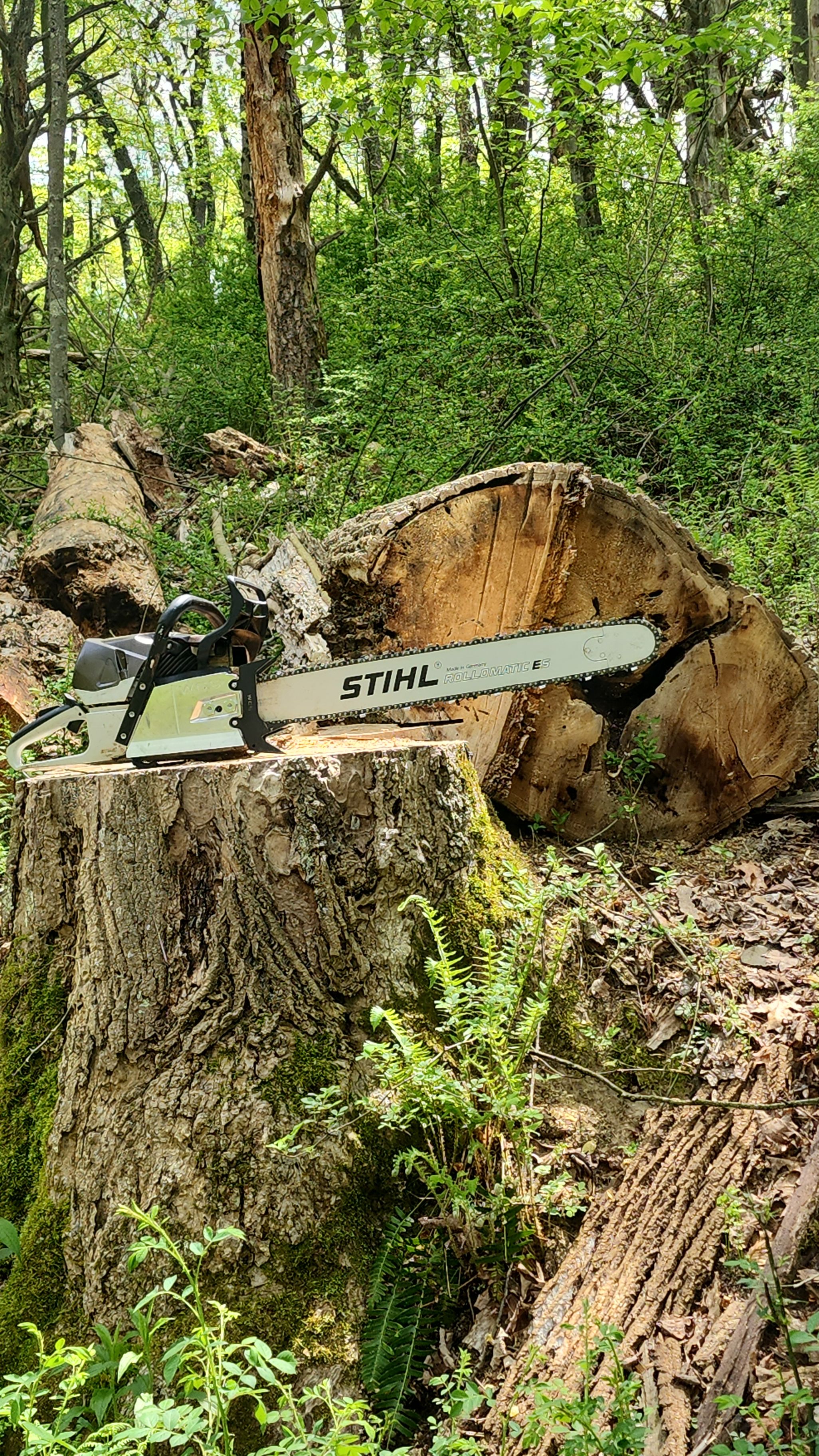 Avatar for Stahl's Outdoor Service