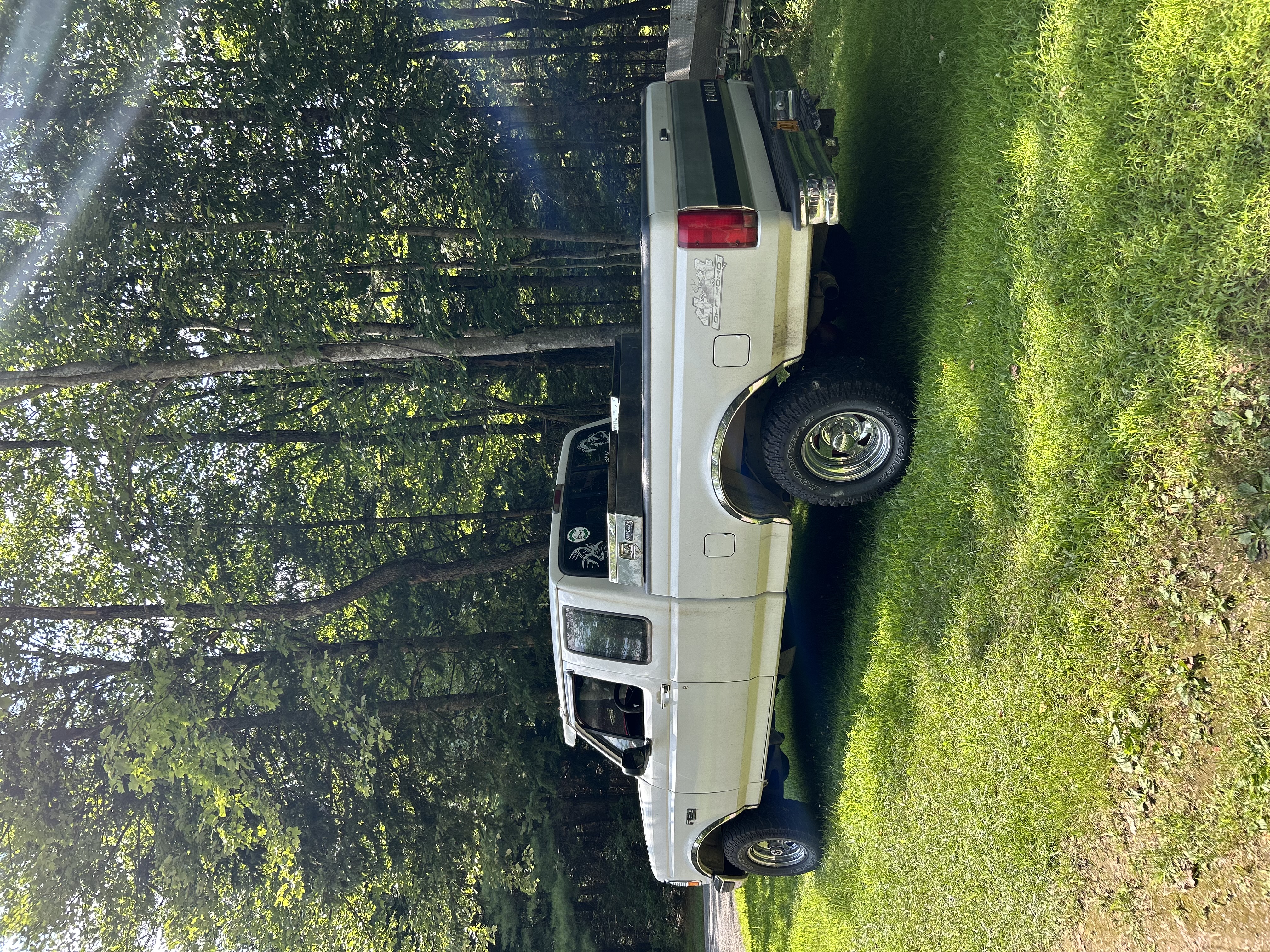 Avatar for Dylan Goodfellow