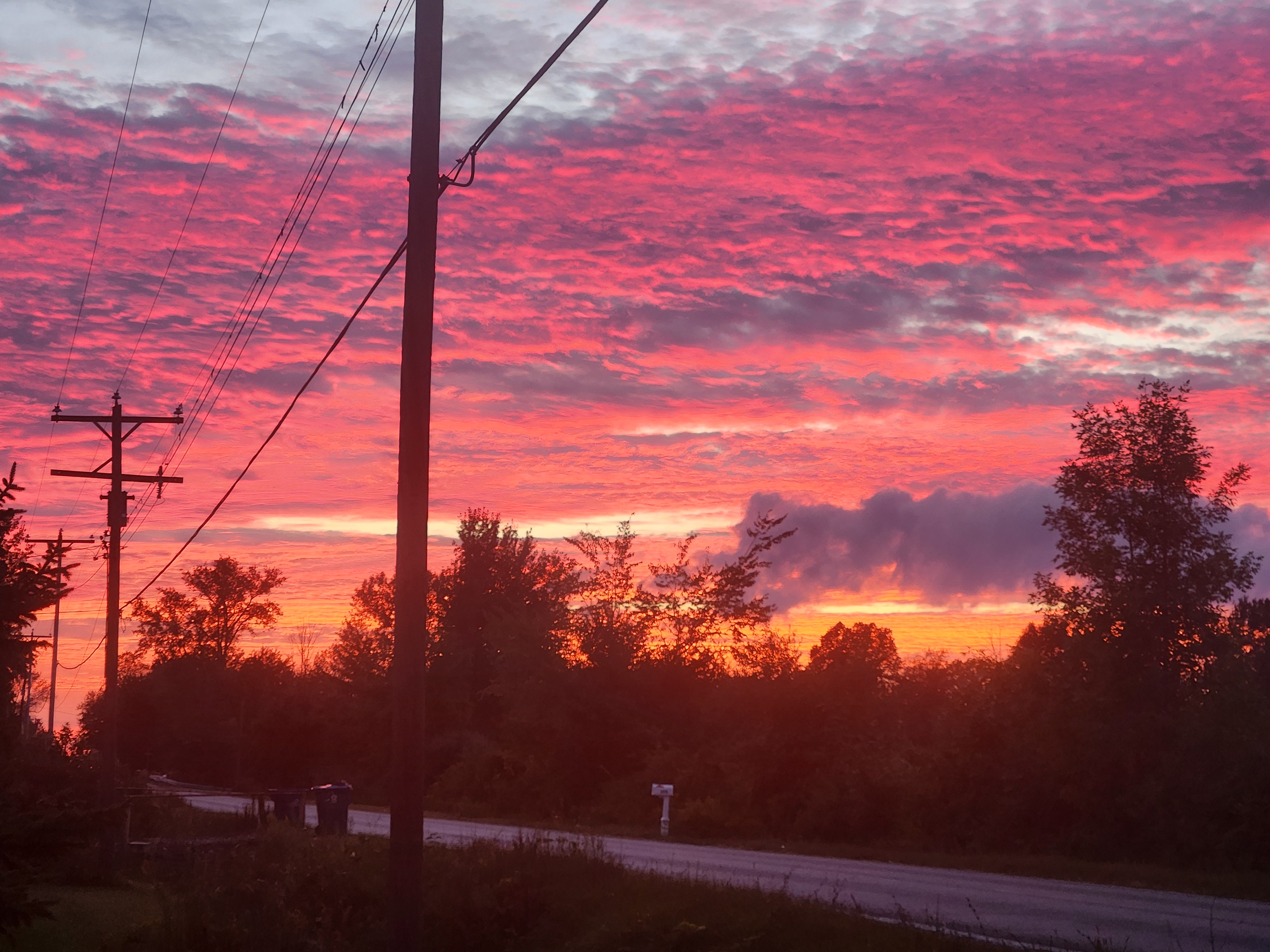 Avatar for Rachel's cleaning services 