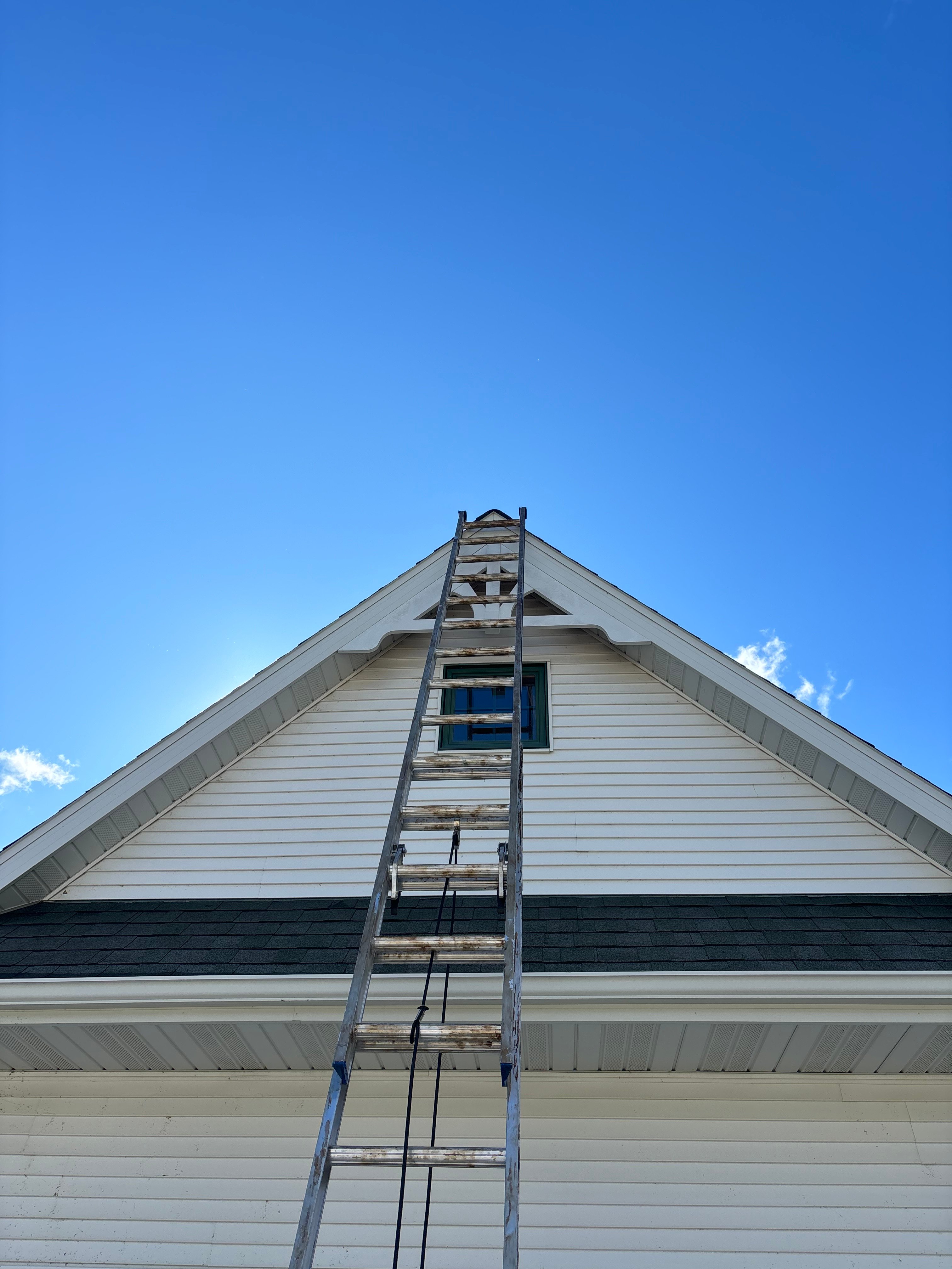 Avatar for primer 44