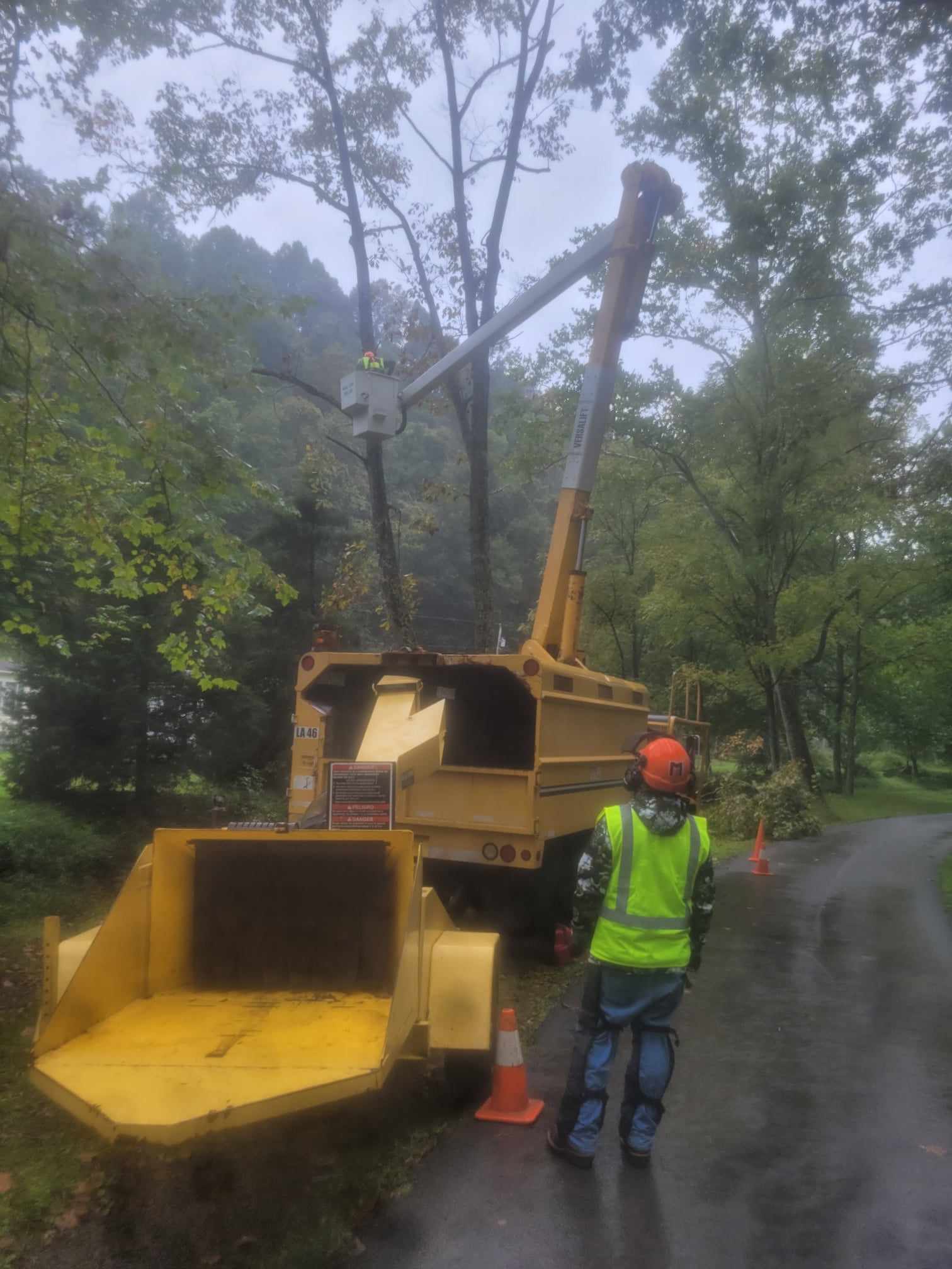 Avatar for All Service Tree Removal