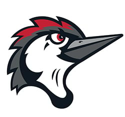 Avatar for Woodpecker316