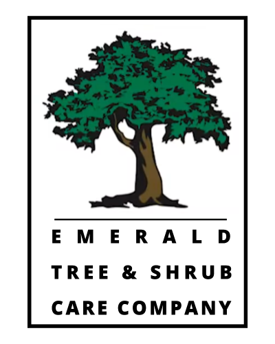 Avatar for Emerald Tree & Shrub Care