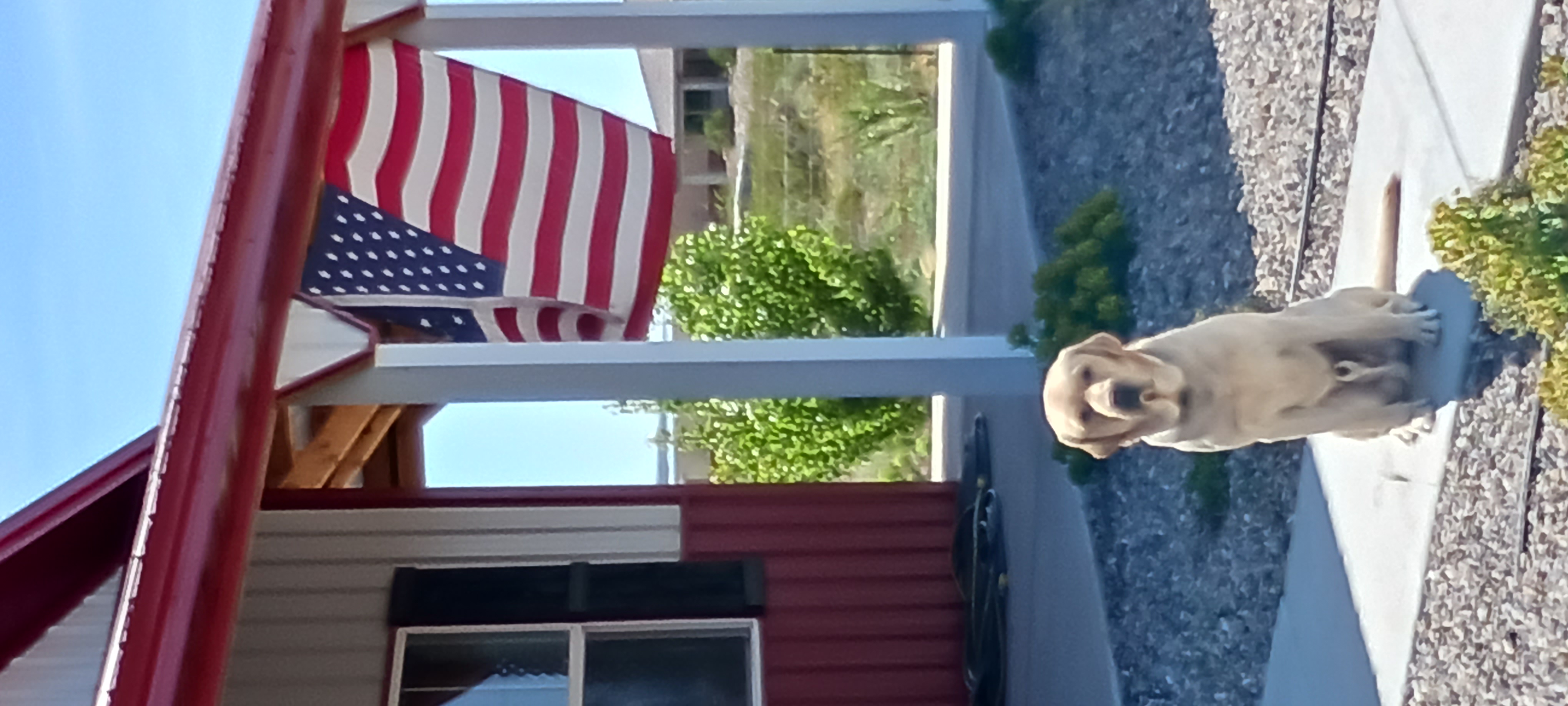 Avatar for Handy-Pro