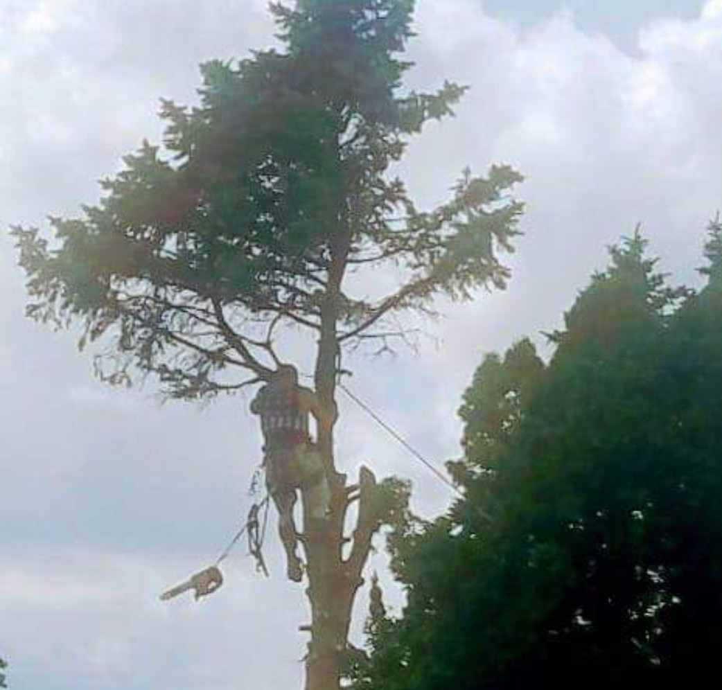 Avatar for Keystone Climbers