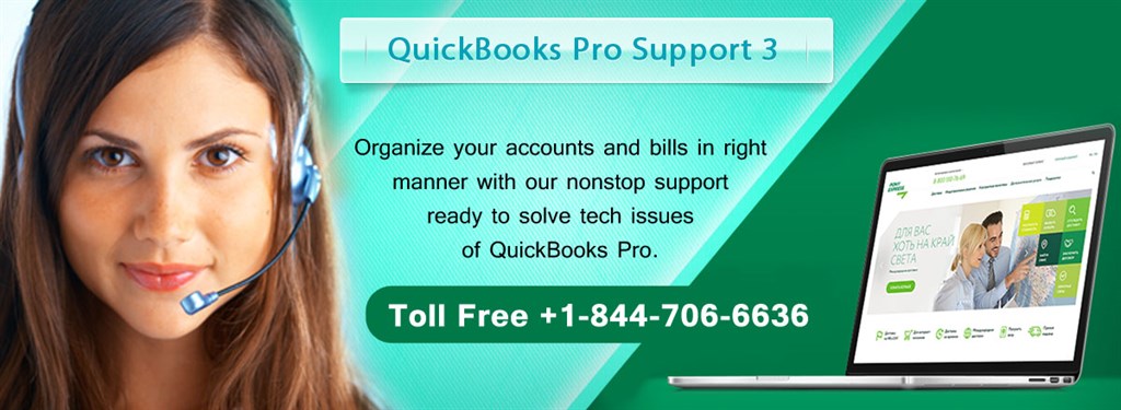 QuickBooks Pro Support