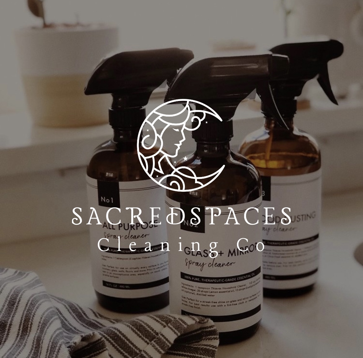 Avatar for Sacred Spaces Cleaning Co.