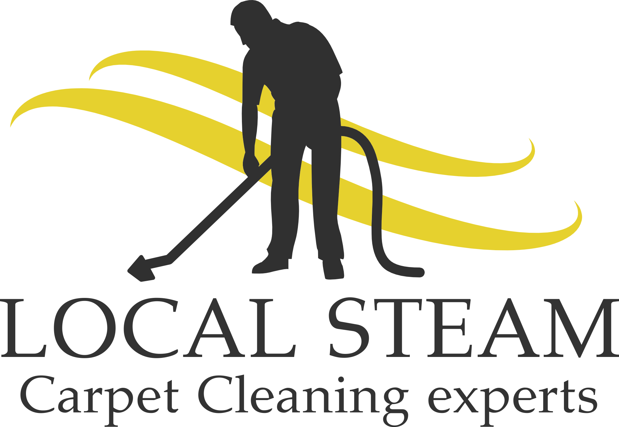 Local Steam logo
