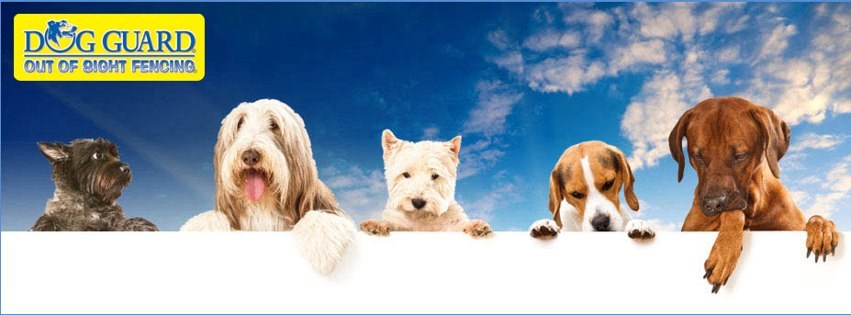 Dog Guard Of Long Island logo