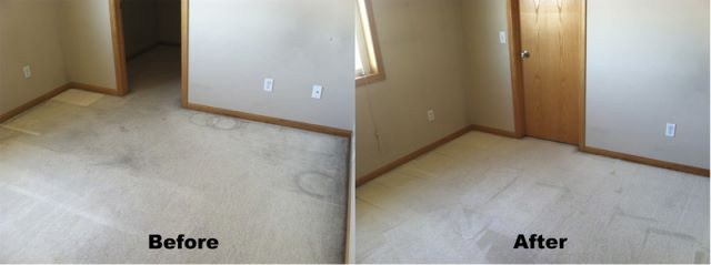 St Cloud College Apt