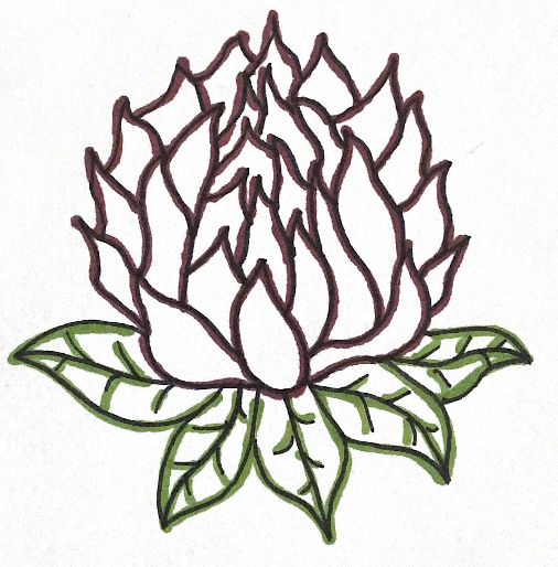Avatar for Red Clover Landscape Design and Consultation