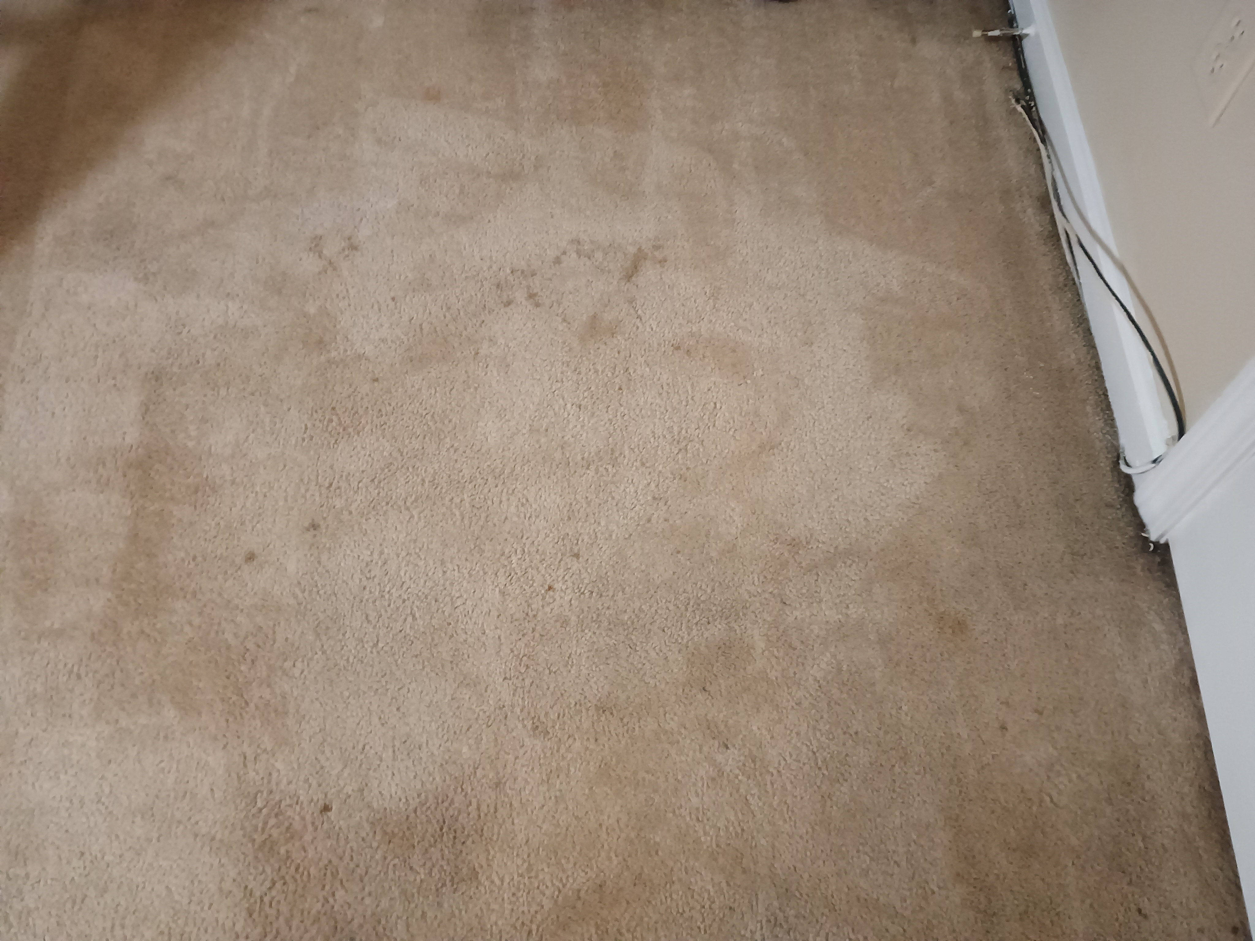 Avatar for Mr T's Carpet Care