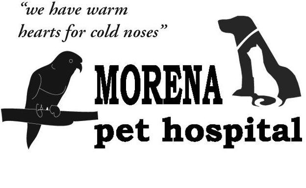 Logo for Morena Pet Hospital