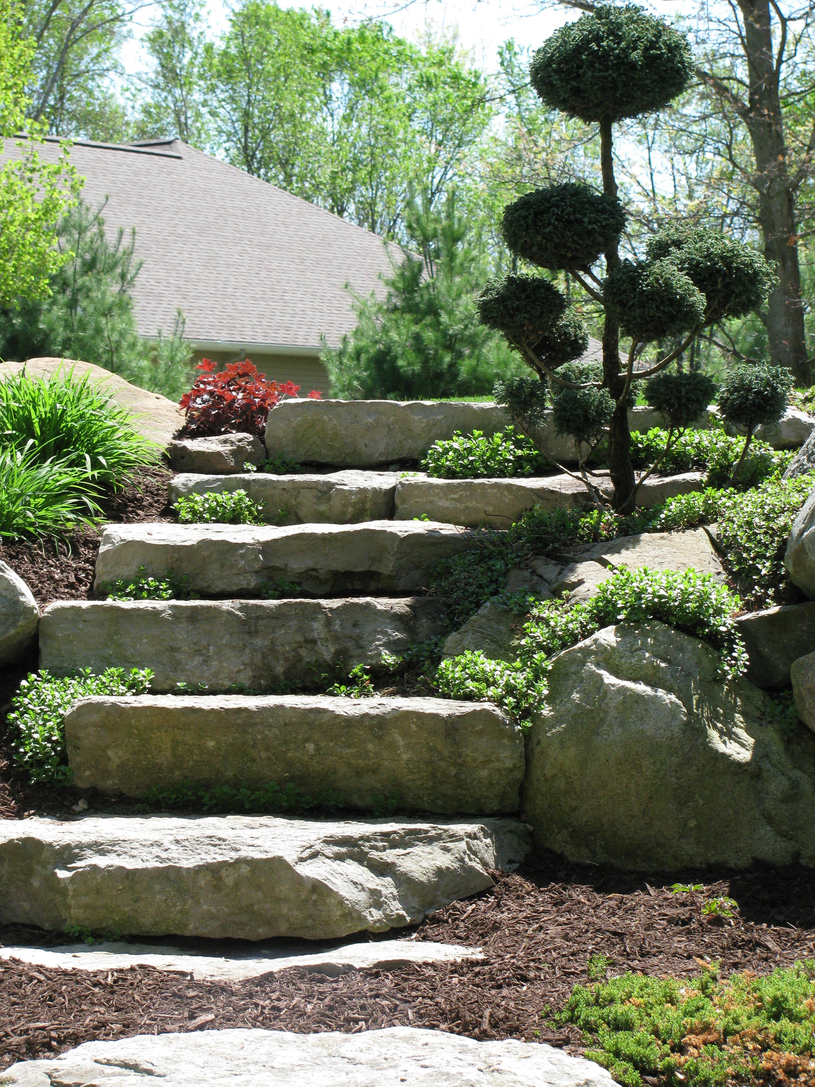 Avatar for Green Side Up Landscape Co.