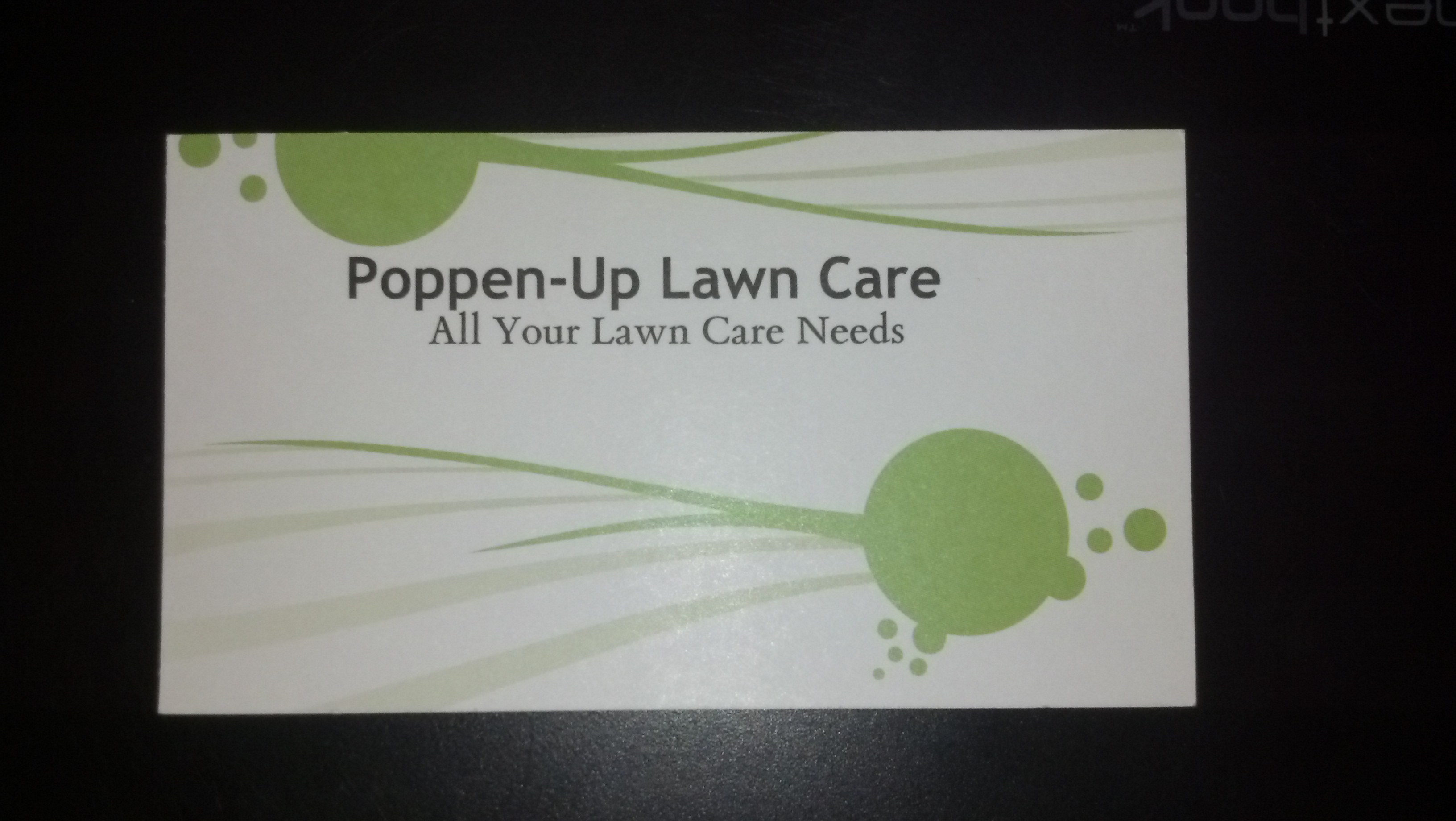 POPPEN UP LAWNCARE logo