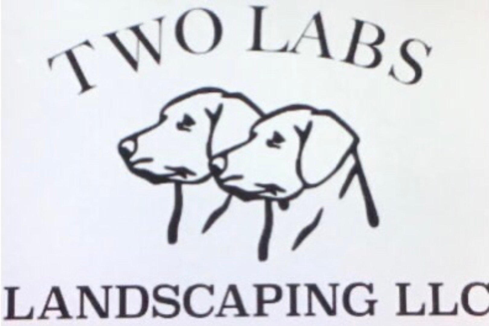 Avatar for TWO LABS