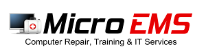 Micro EMS logo