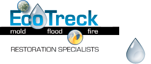 Avatar for Ecotreck Environmental, Inc.