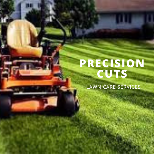 Avatar for Precision Cuts