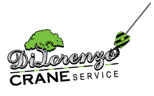 Avatar for DiLorenzo Tree Care
