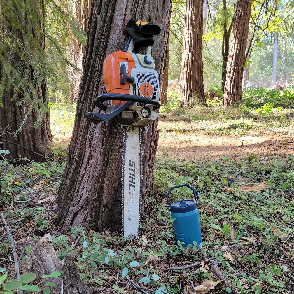 Avatar for Yard work