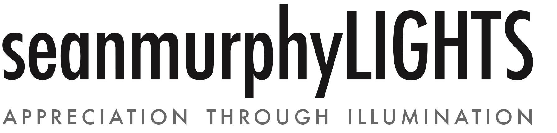 sean murphy LIGHTS, Inc. logo