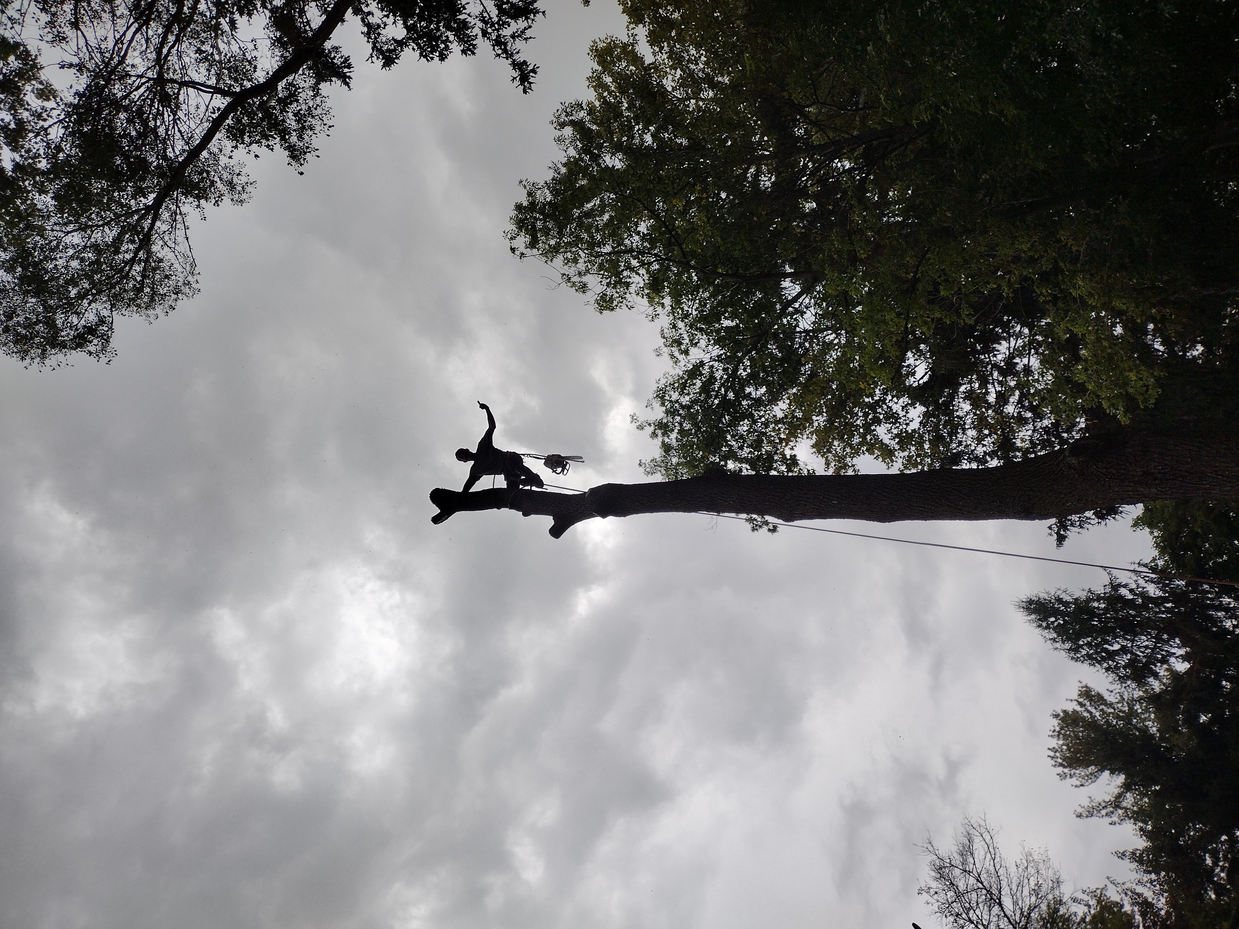 Avatar for Sam Outdoor service llc 