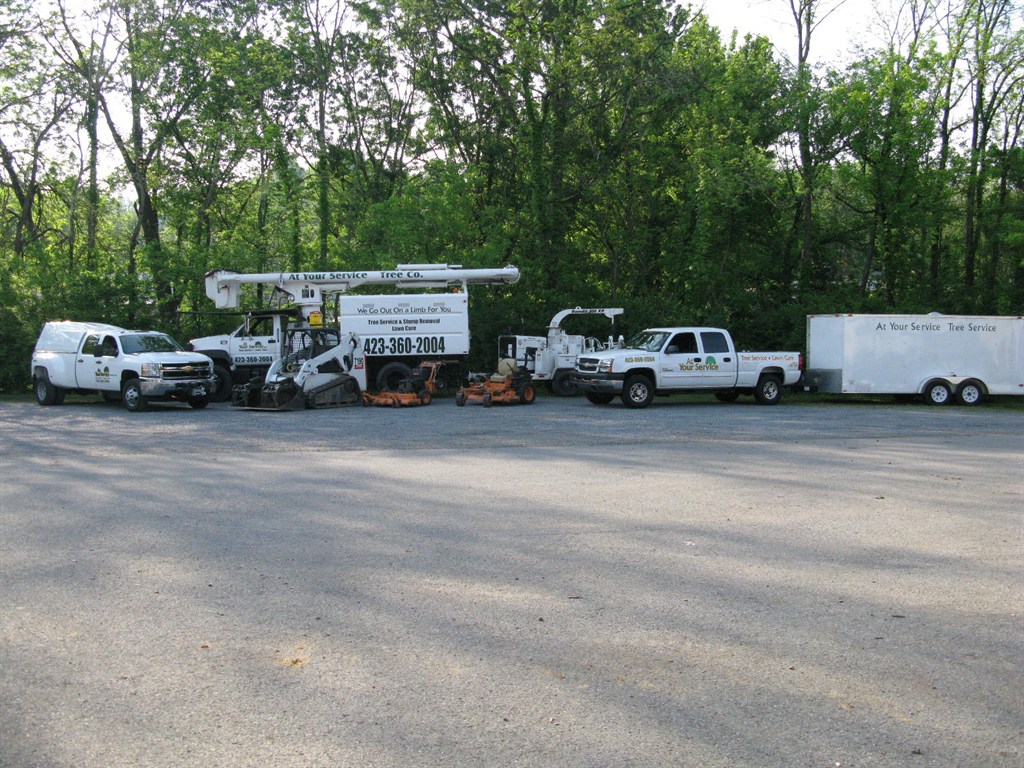 At You Service Tree Co. LLC Reviews Bristol, TN Angi