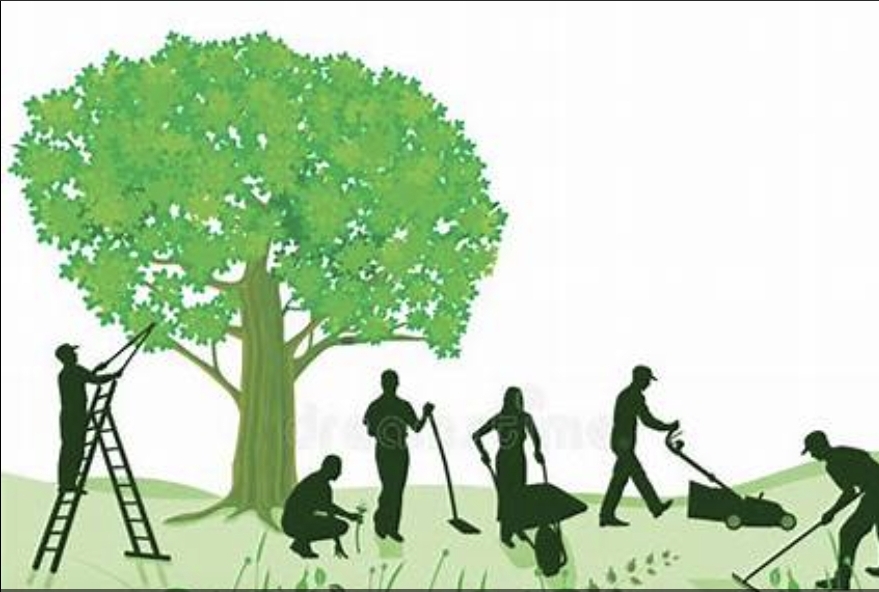 Avatar for Rabbit Daes inc