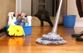Avatar for FiveStar Professional Cleaning Service