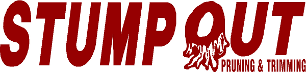 Avatar for STUMP OUT LLC