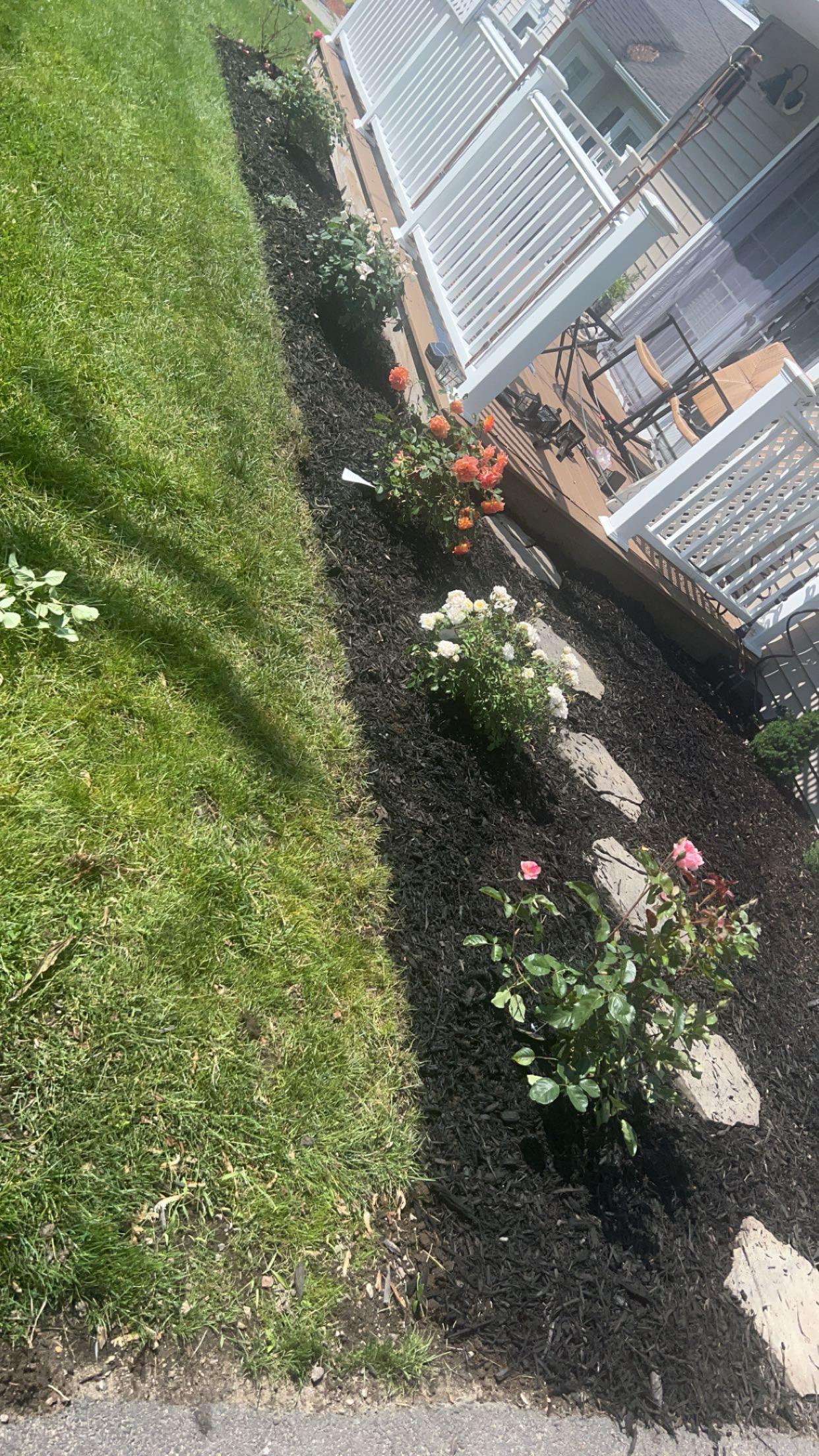 Avatar for D.D. Landscaping LLC