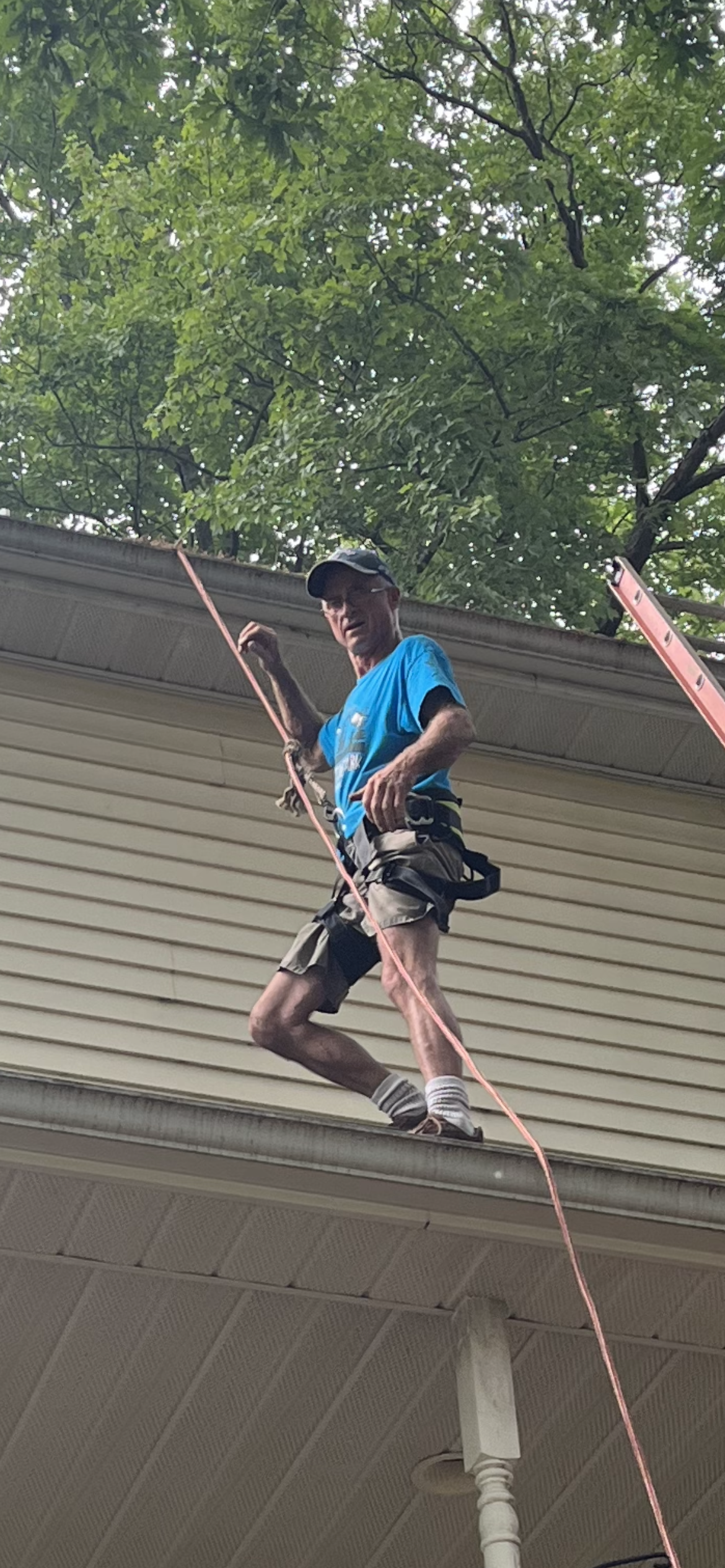 Avatar for Got R Done Tree Service