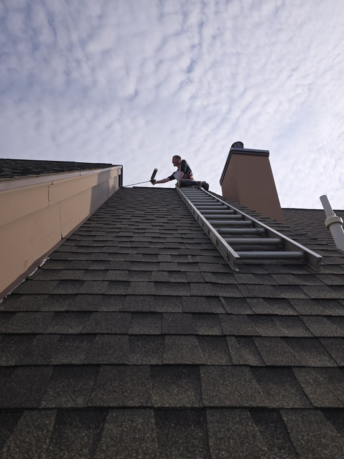 Avatar for Matt's removal