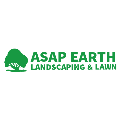 Avatar for ASAP EARTH
