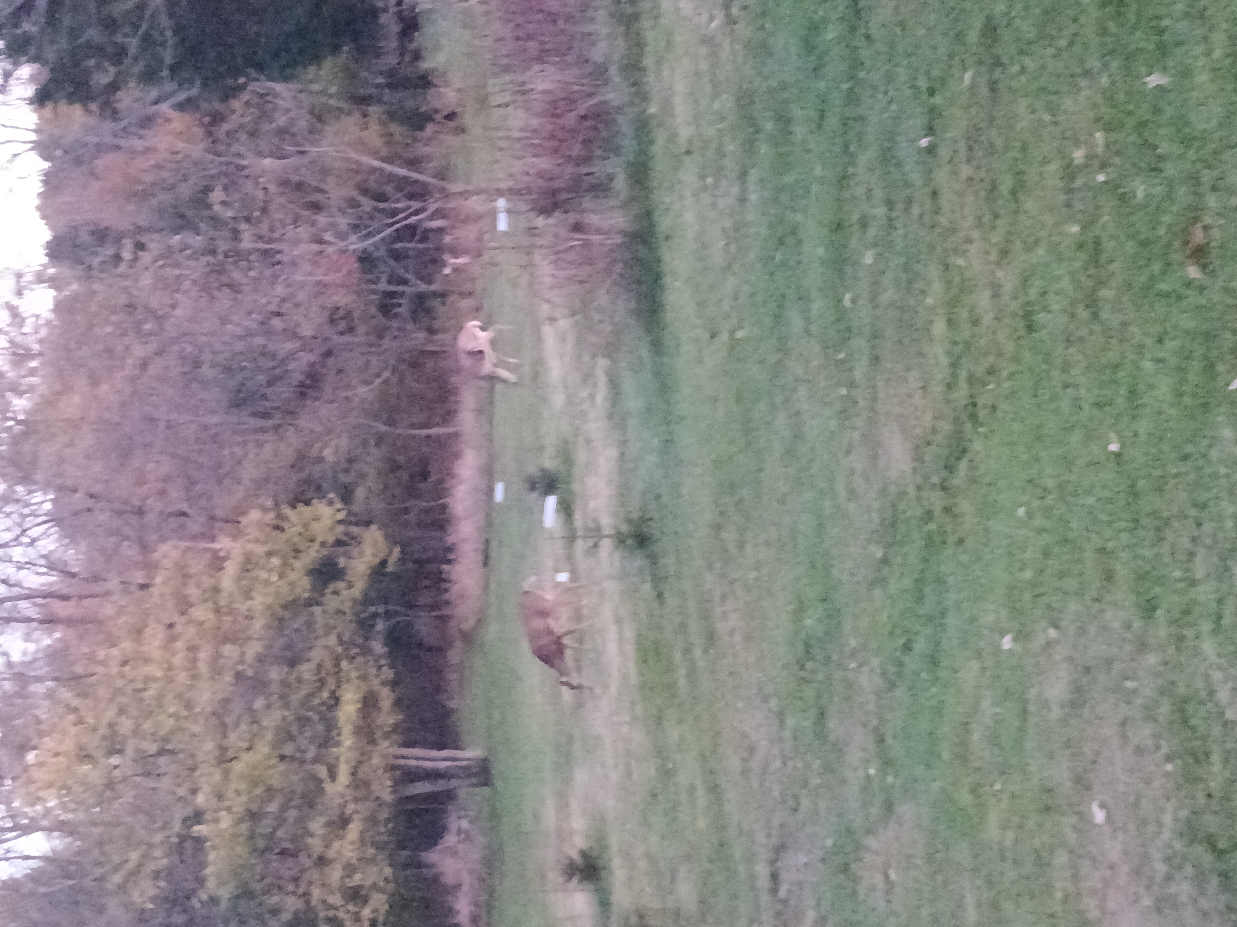 Avatar for Brothers construction