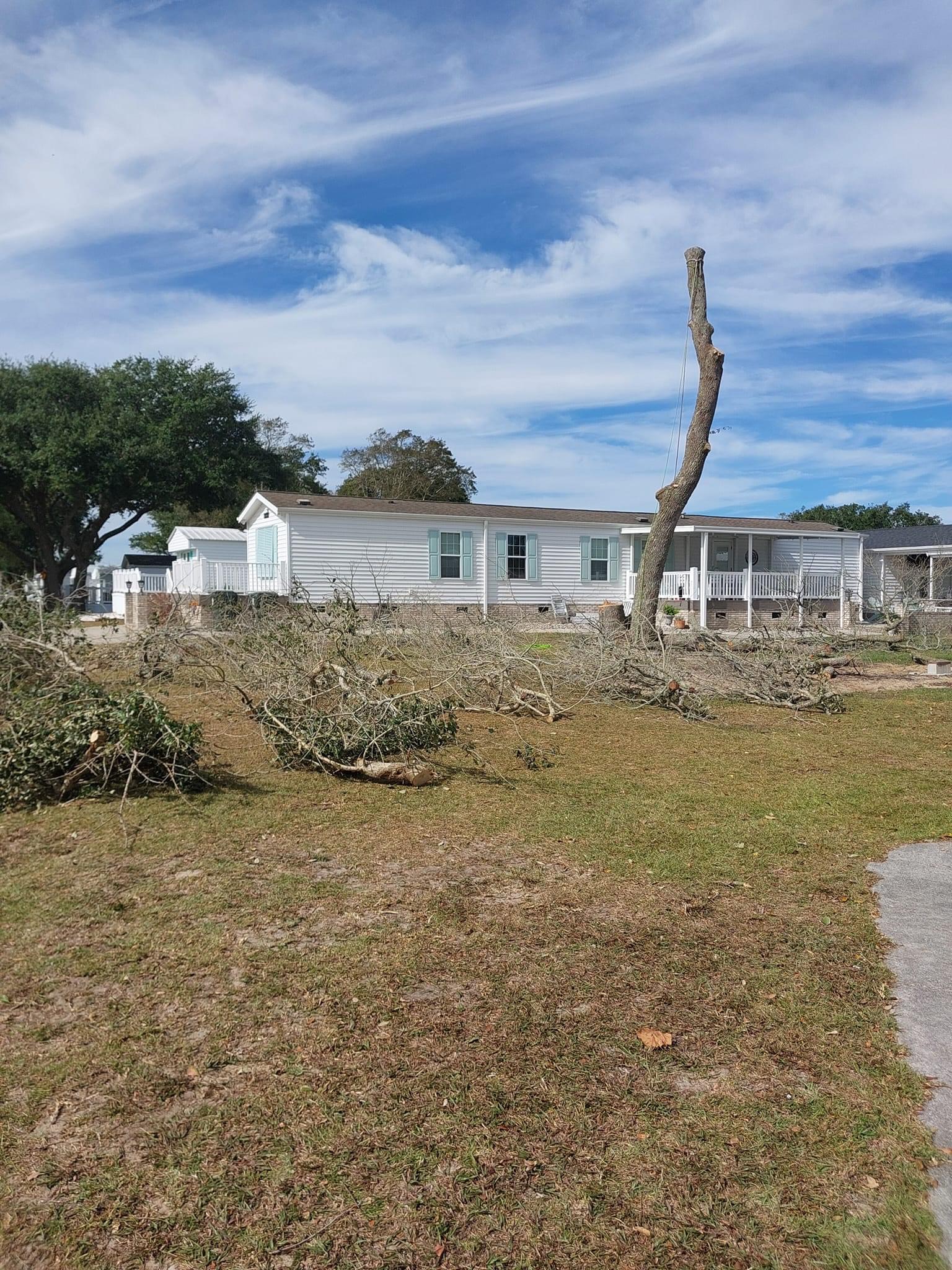 Avatar for R&R tree service