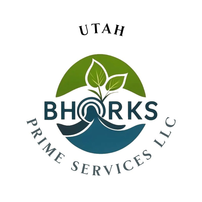 Avatar for Bhorks Prime Services