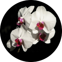 Avatar for Mendoza Realty & Auction Company