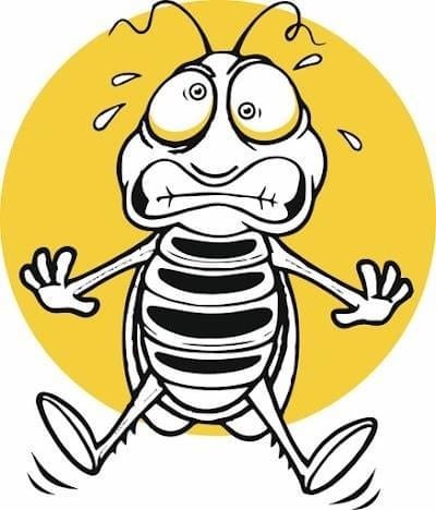 Avatar for allbugspestcontrol