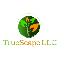 Avatar for TrueScape LLC