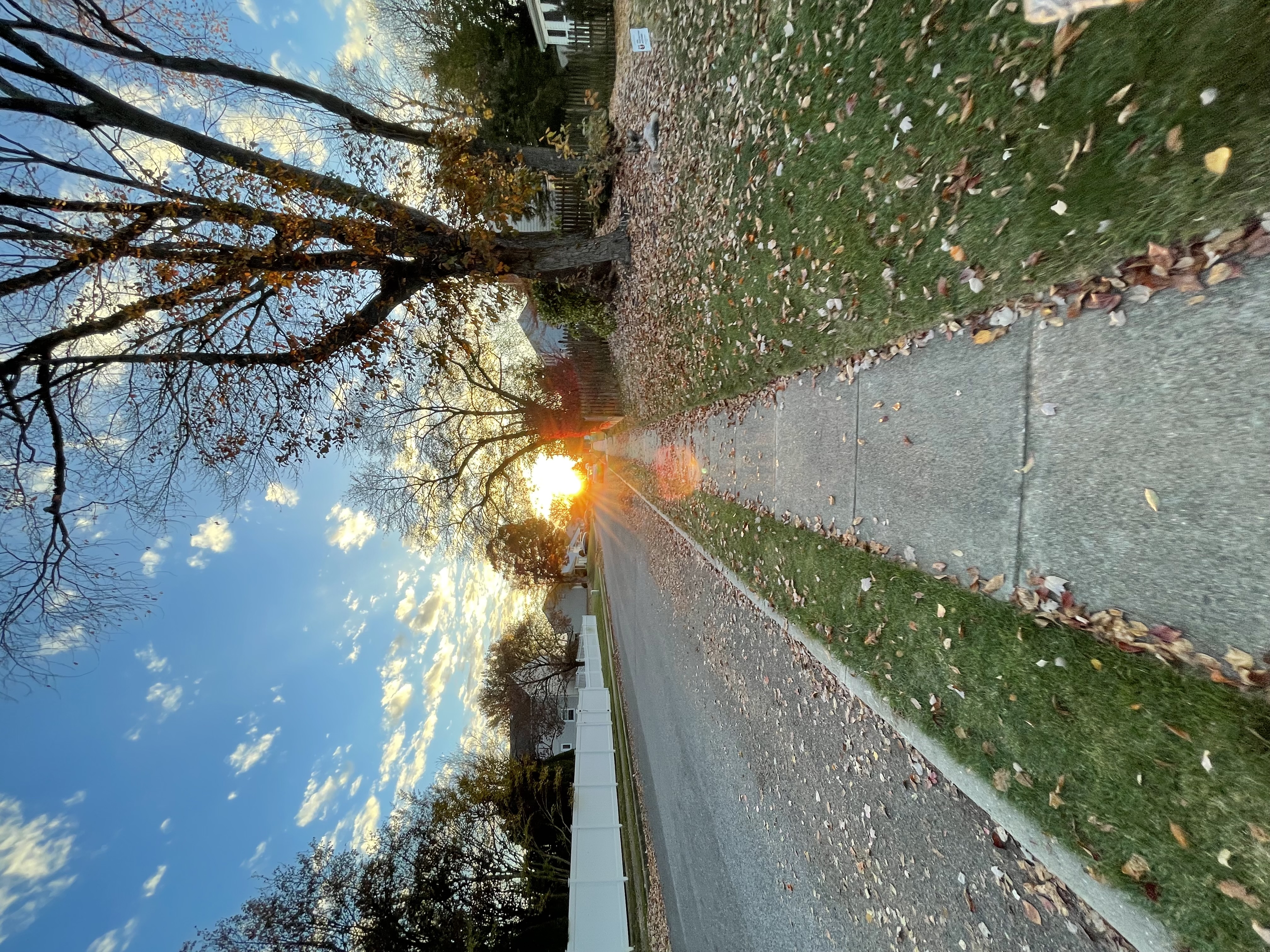 Avatar for Christopher Coyle Animal Removal